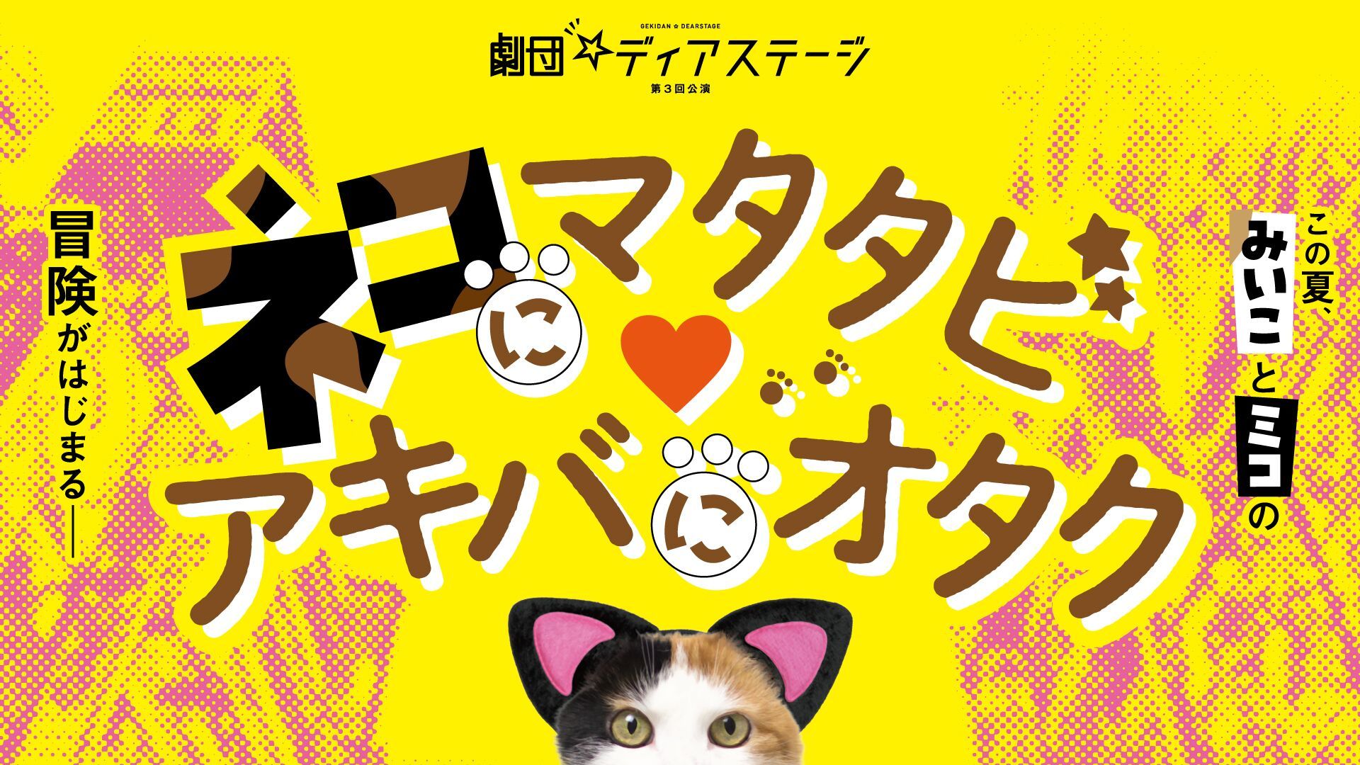 劇団 ディアステージ第３回公演 ネコにマタタビ アキバにオタク Zaiko