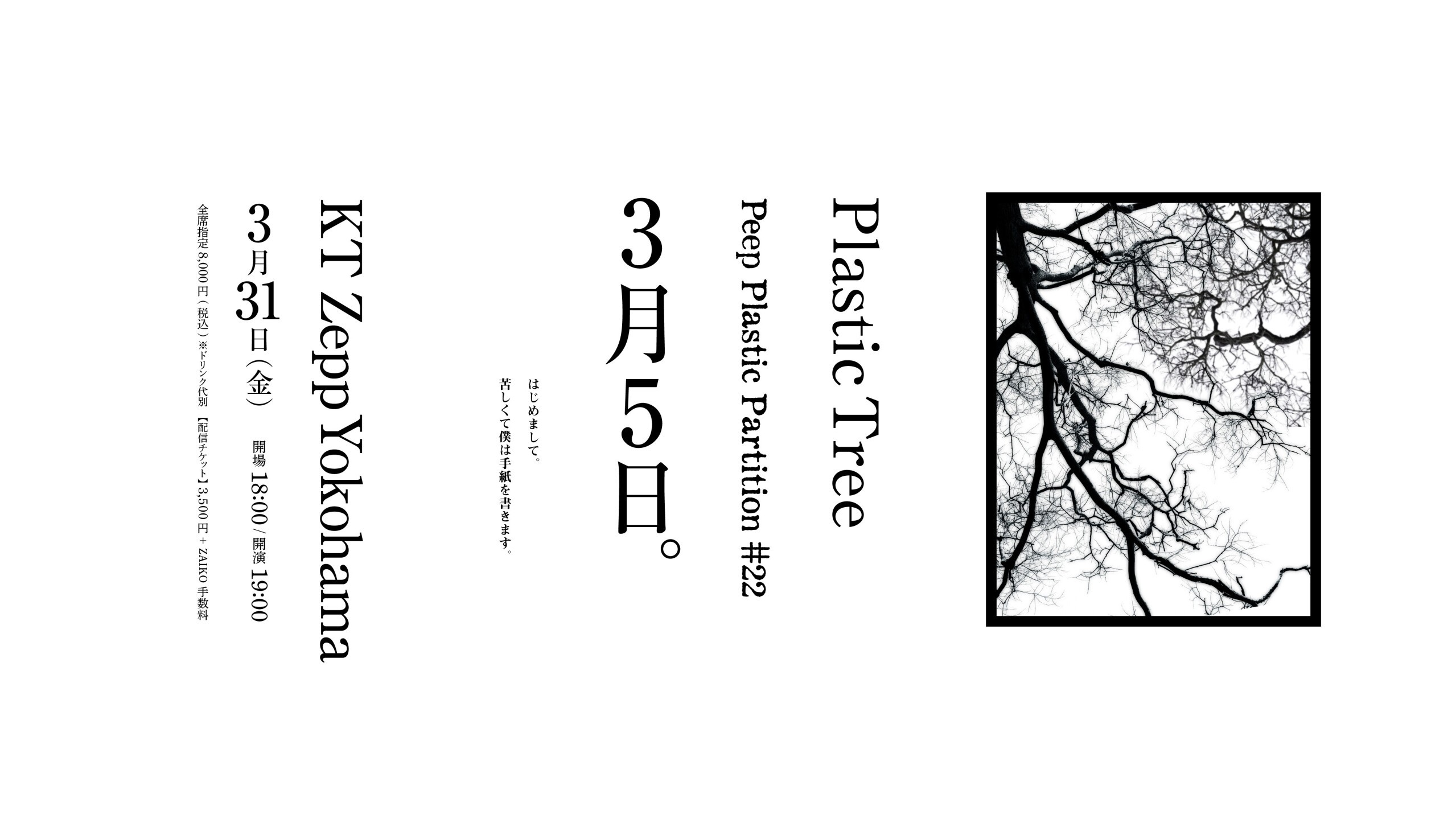 Plastic Tree / Peep Plastic Partition